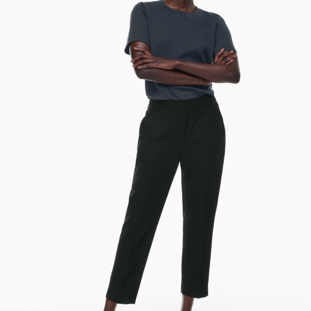 Aritzia Cropped Conan pant
